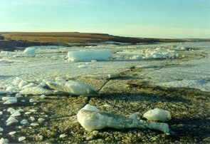 Ice-Gate-Bikada -1.jpg (35914 bytes)