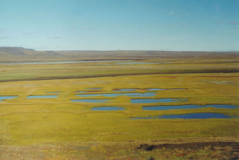 Polygval.JPG (54493 bytes)