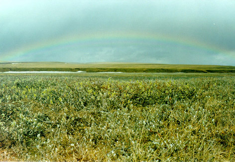 RAINBOW1.JPG (133880 bytes)