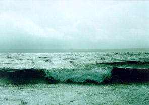 Storm.jpg (23267 bytes)